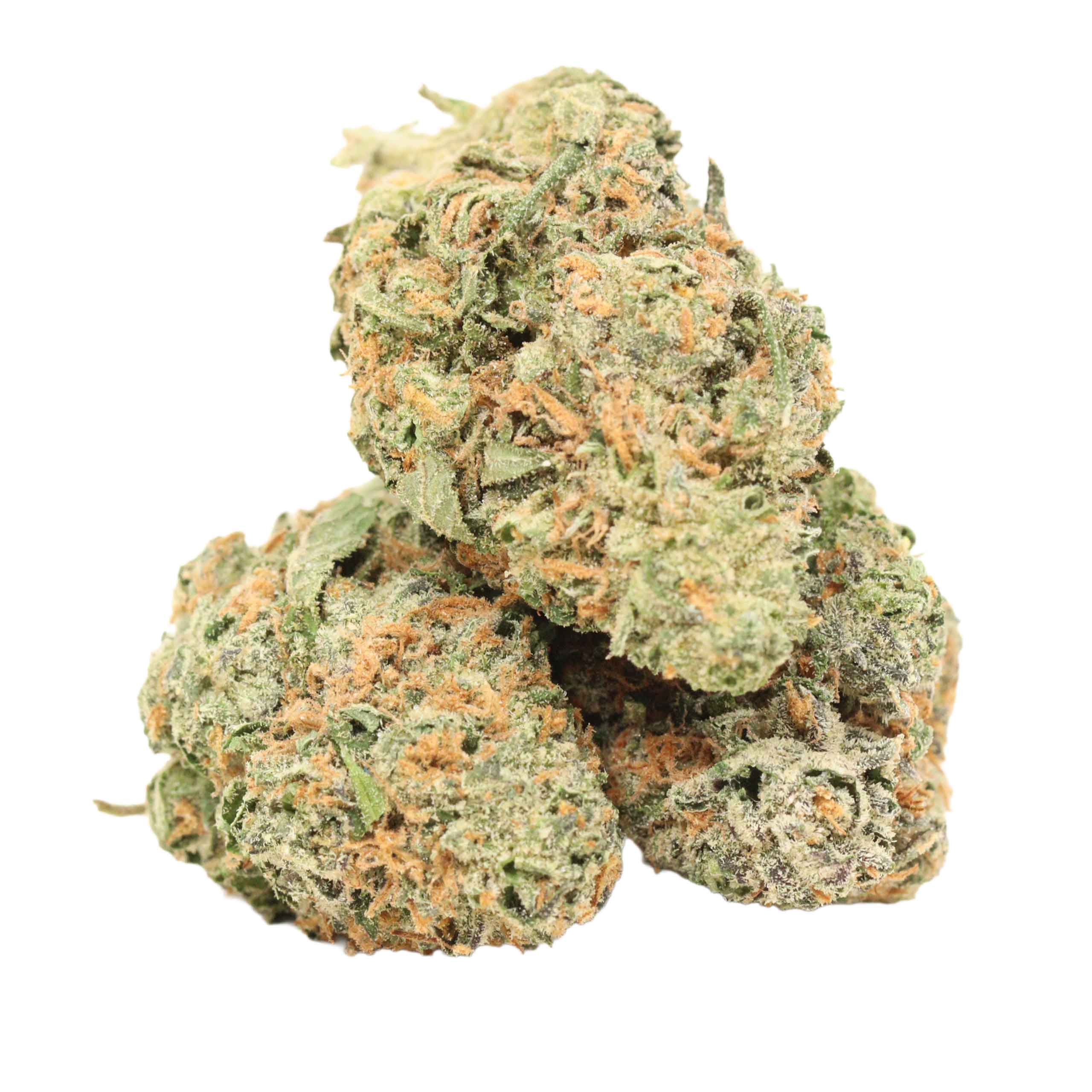 94-Monkey-strain