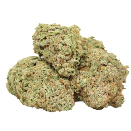 astro pink kush