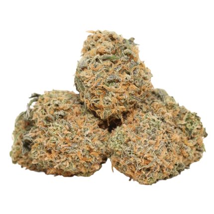 gelato strains
