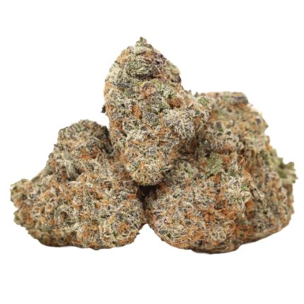 grape gasoline strain