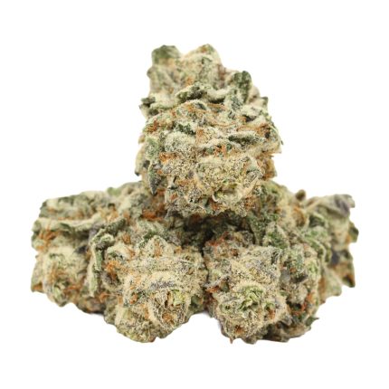 Pure Cake Skunk