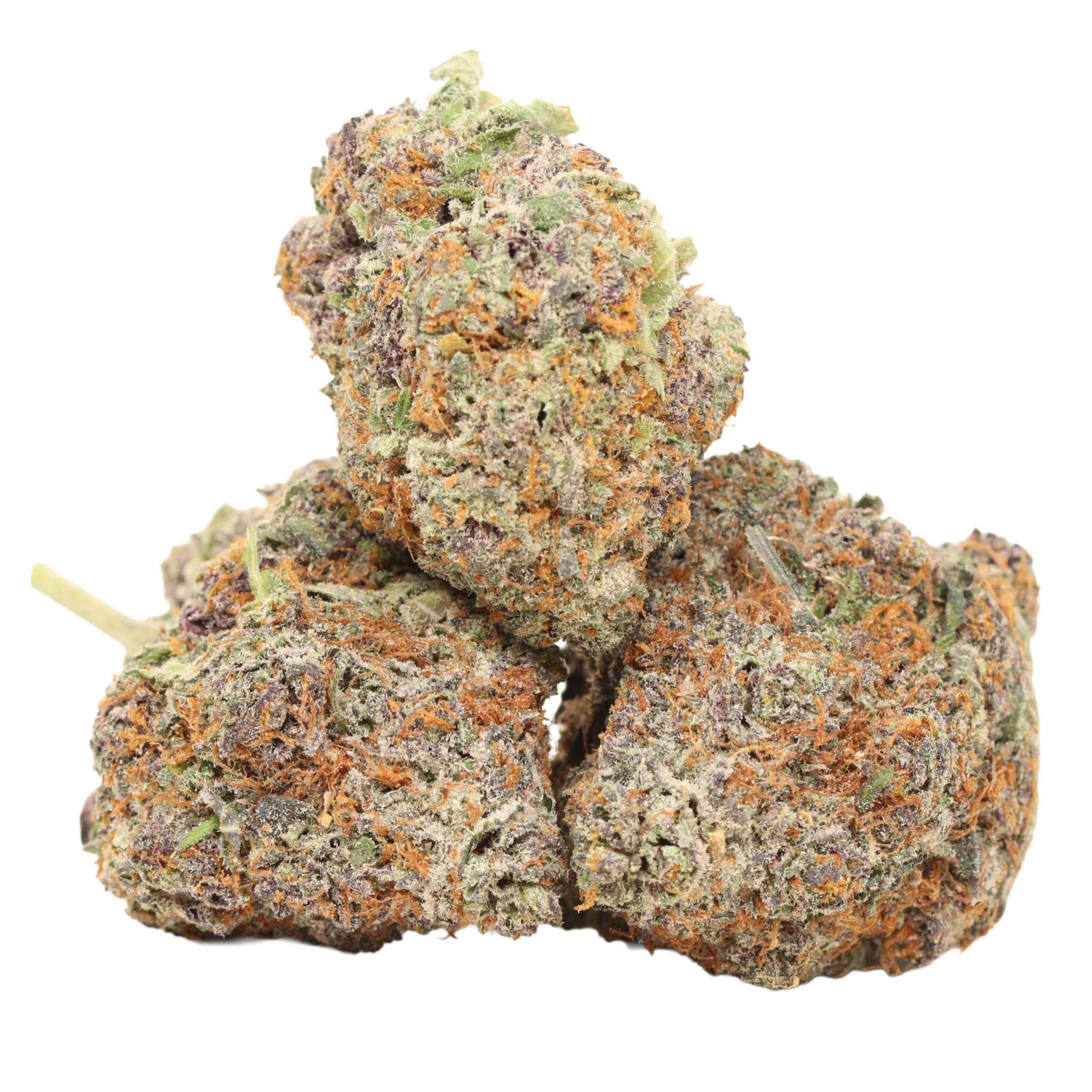 Purple-blizzard-c-strain