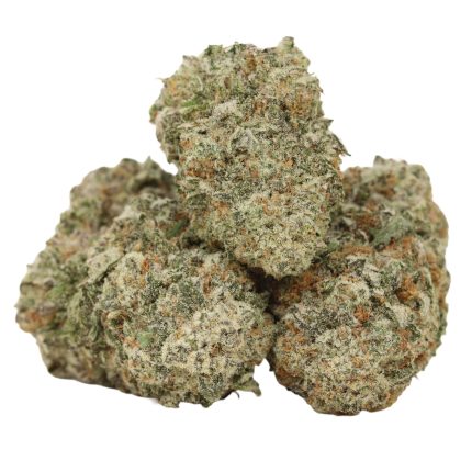 raspberry swirl strain