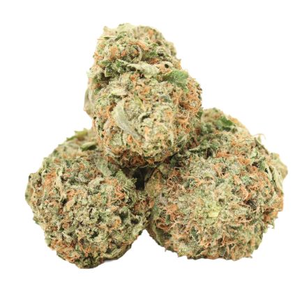 Ultra Pink Strain